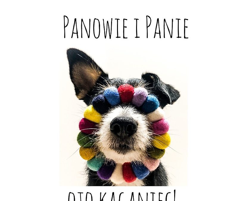 Panowie i Panie – oto KAGANIEC!