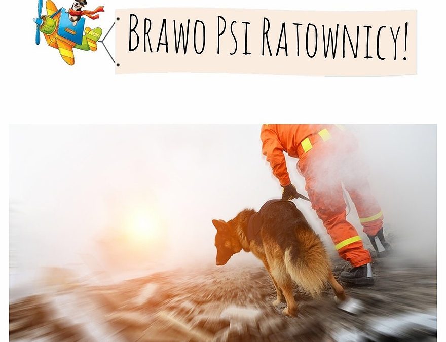 Dzień Psiego Ratownika