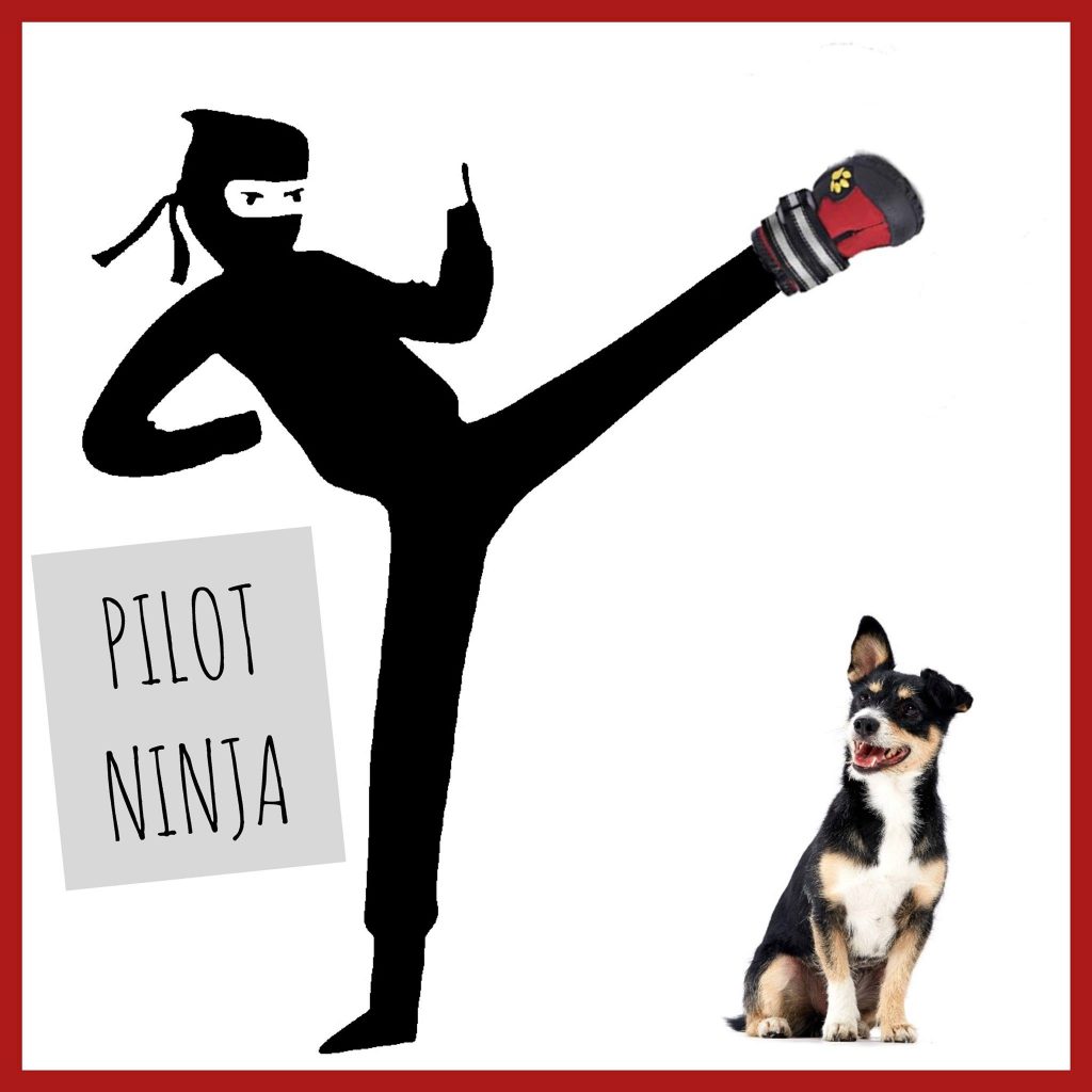 Jestem NINJA!