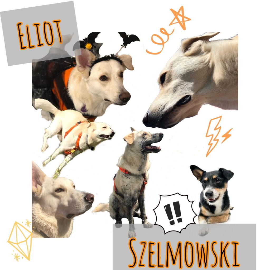 Poznajcie Eliota Szelmowskiego