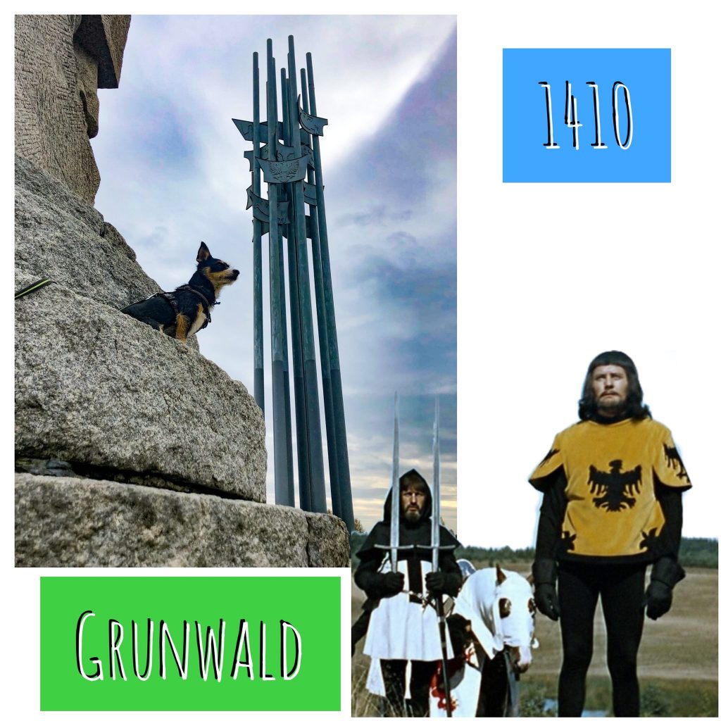 1410 r. Grunwald i psy