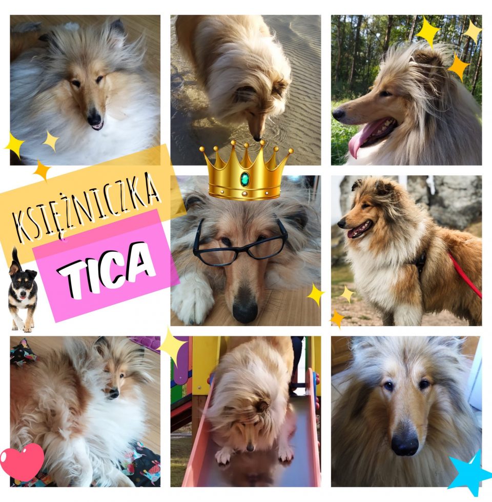 Poznajcie Księżniczkę Ticę