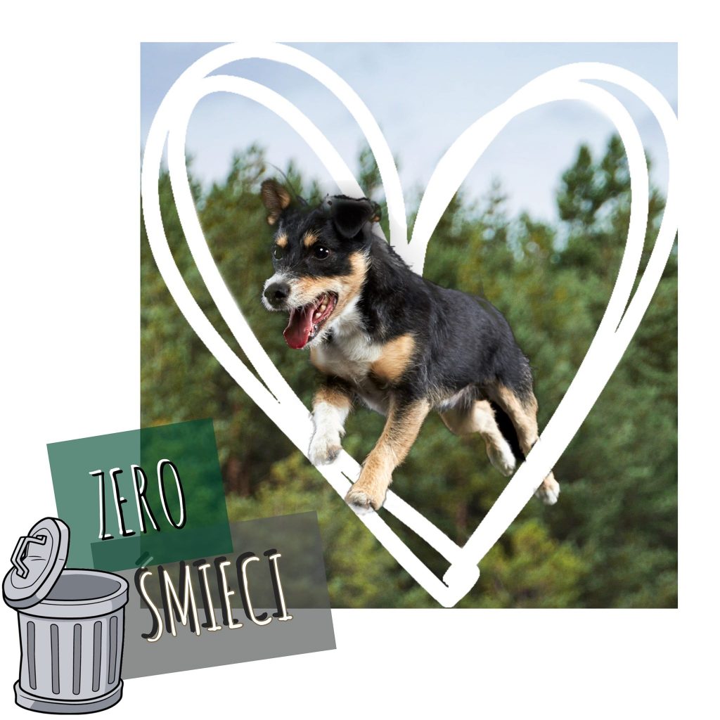 Psie Zero Waste
