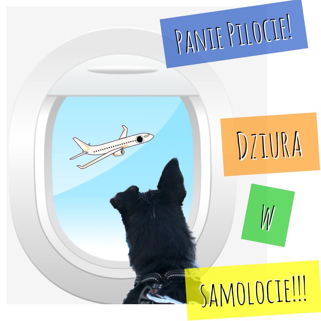 Panie Pilocie – dziura w samolocie!