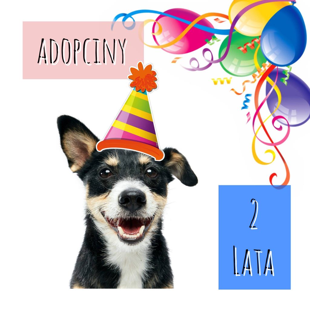 Drugie adopciny!