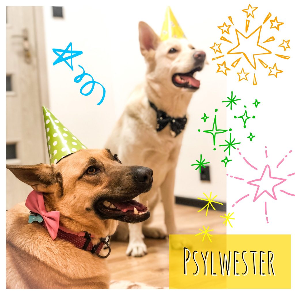 Psylwester!