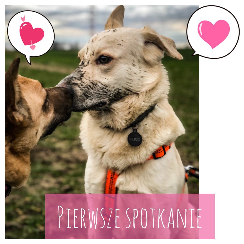 Zosia i Eliot – pierwsze spotkanie