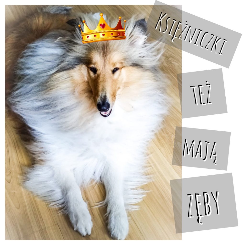 Księżniczki też mają zęby