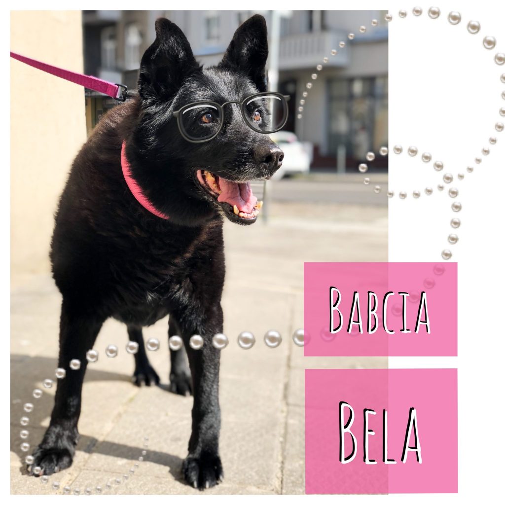 Babcia Bela