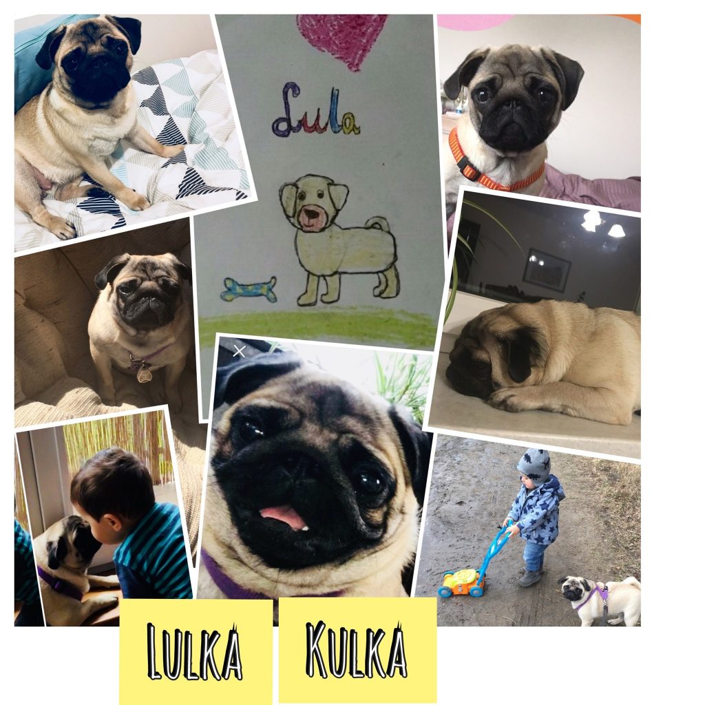 Poznajcie Lulkę Kulkę