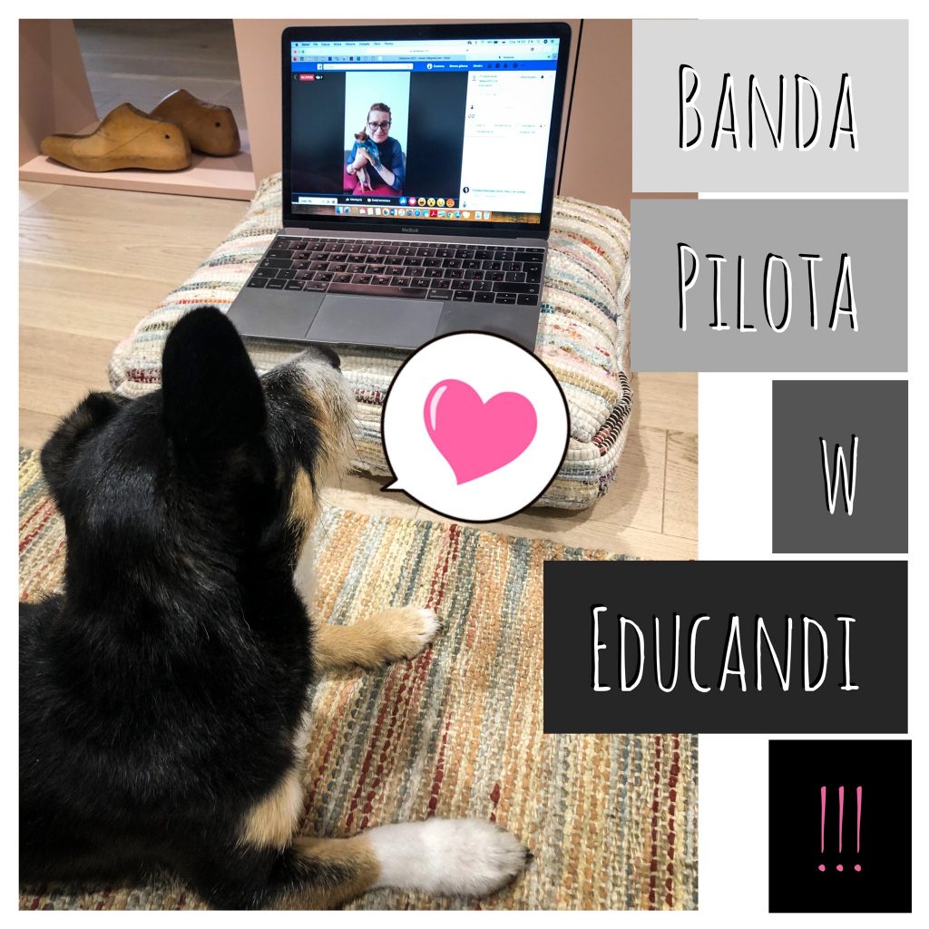 Banda Pilota w Educandi!