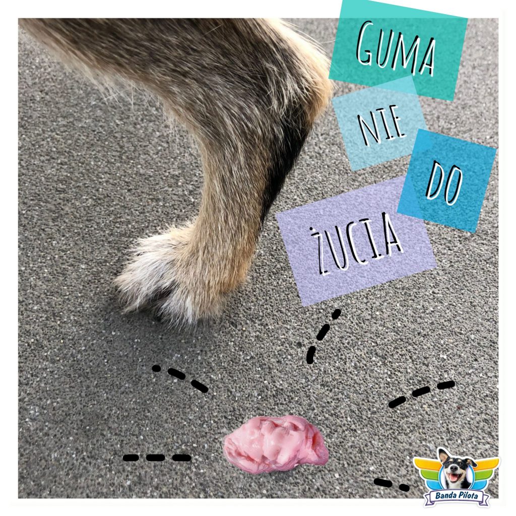 Guma nie do żucia